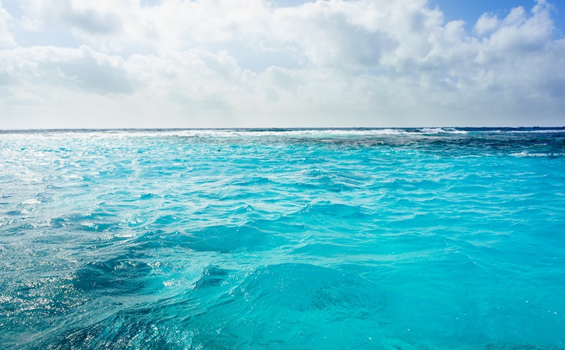 SDGs是什麼？SDGs永續發展17項目標、對企業的重要性 | 鼎新電腦